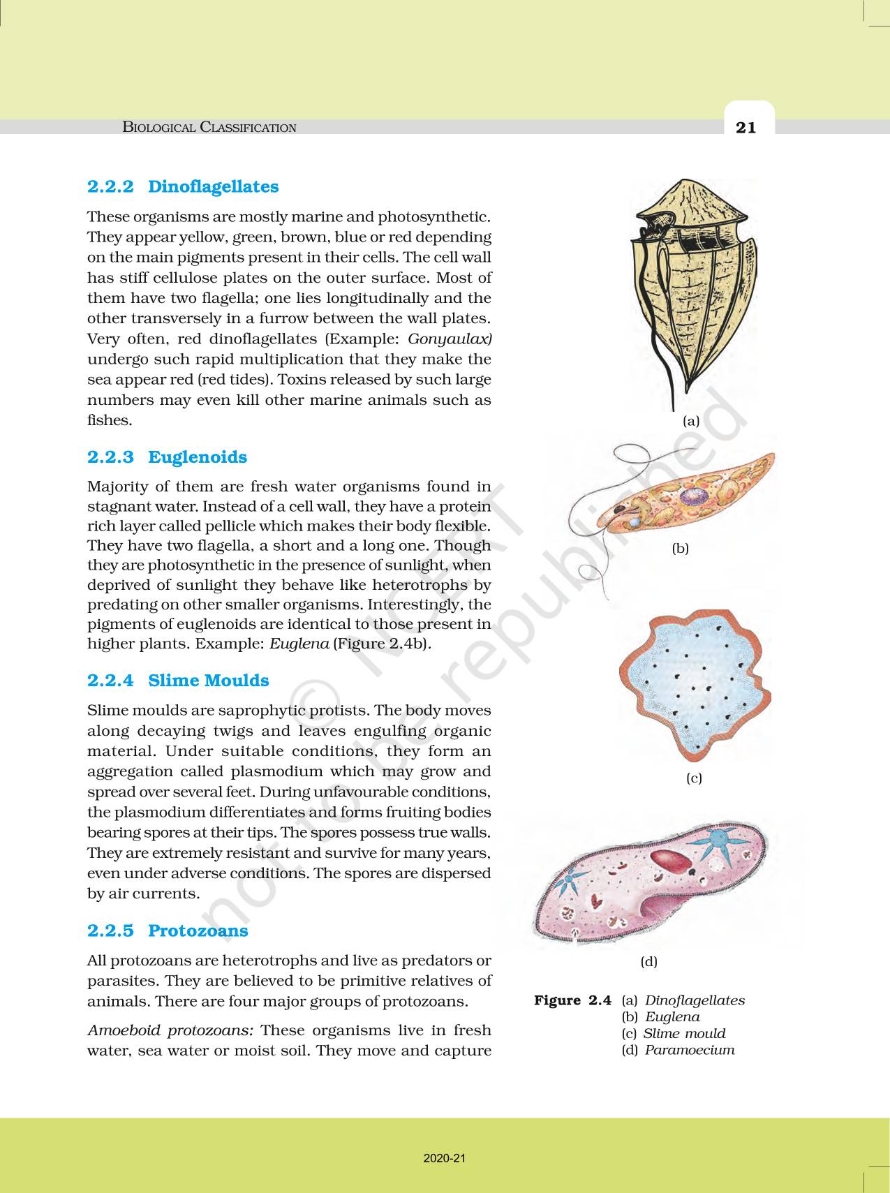 Biological Classification - NCERT Book Of Class 11 Biology